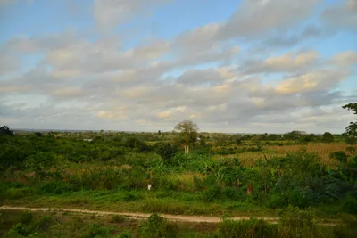 DSC_4338 (Large).JPG